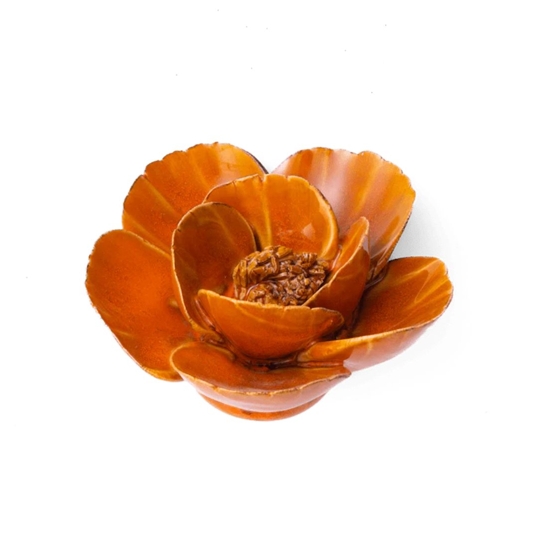 product-231735-1777381711-CHI04-0000738^2